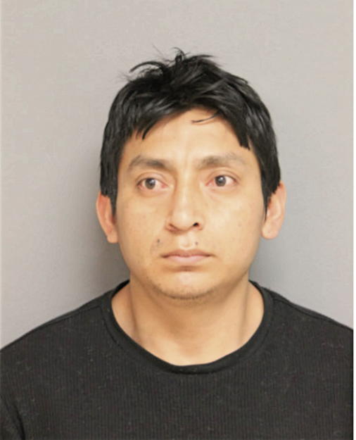CHRISIAN AREVALO-TENESACA, Cook County, Illinois