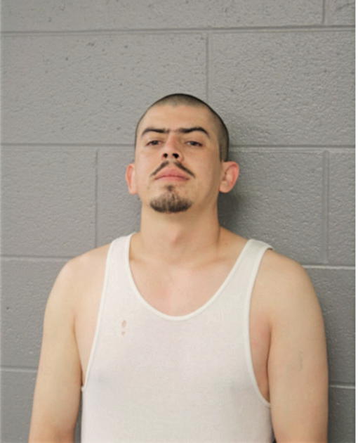 JOAQUIN A ARMENTA, Cook County, Illinois