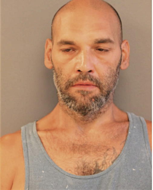 ANTHONY BOJIC, Cook County, Illinois