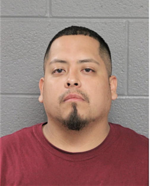 ROBERTO S BRAULIO, Cook County, Illinois