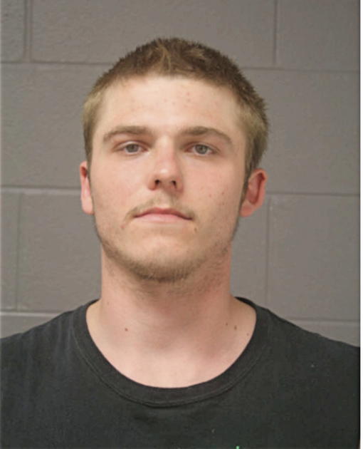 WALTER L BROWN, Cook County, Illinois