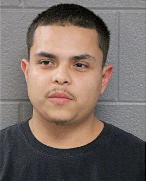 HERIBERTO CARBAJAL, Cook County, Illinois