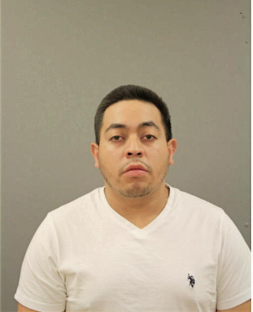 JULIO A CASTRO, Cook County, Illinois
