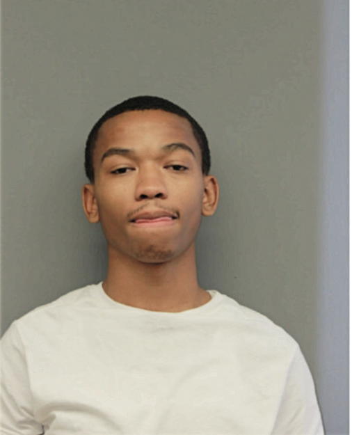 AARON J CATLEDGE, Cook County, Illinois