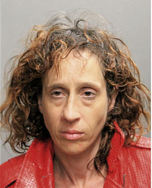 JANE E ESPOSITO, Cook County, Illinois