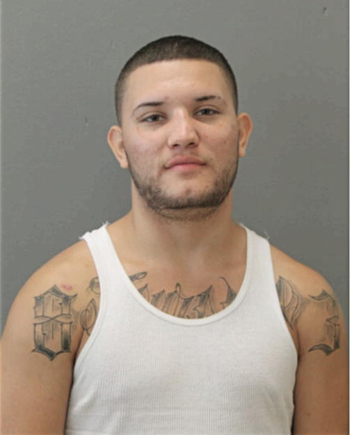 DANIEL J FLORES, Cook County, Illinois