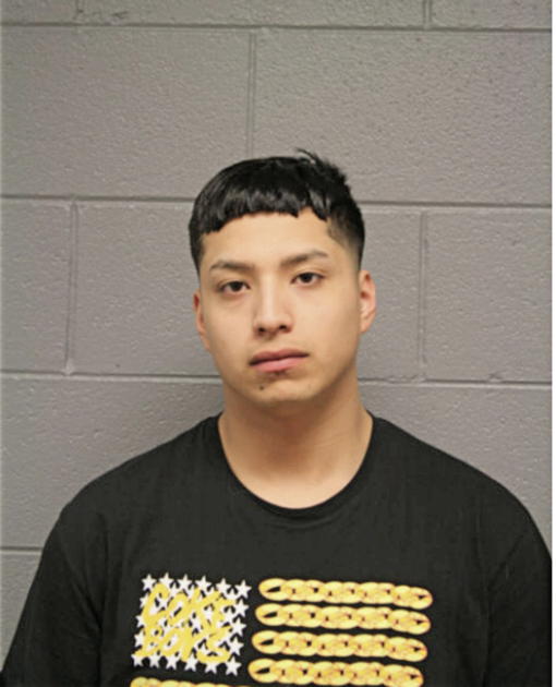 MOISES FLORES, Cook County, Illinois