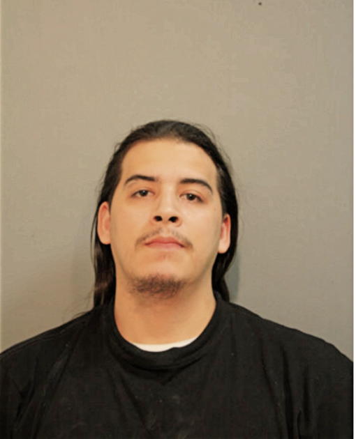 NOEL GARABITO, Cook County, Illinois