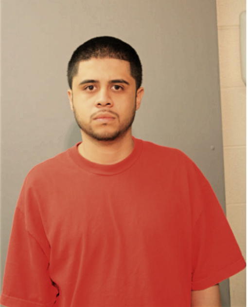 LUIS A GARCIA, Cook County, Illinois