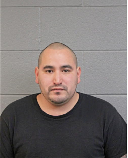 MIGUEL GONZALEZ, Cook County, Illinois