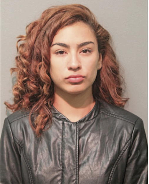 SINALOA-MORALES A GUISELL, Cook County, Illinois