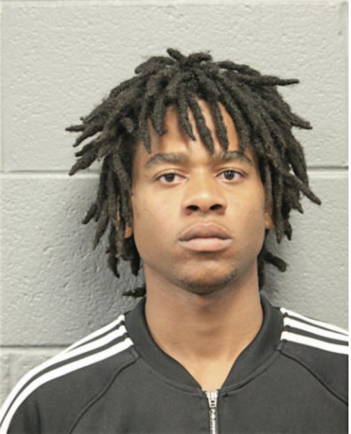 YARNELL M HICKS, Cook County, Illinois