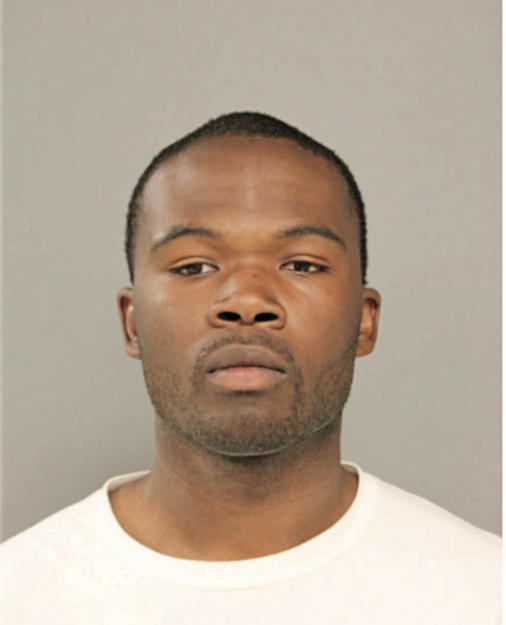 DION M HOLMAN, Cook County, Illinois