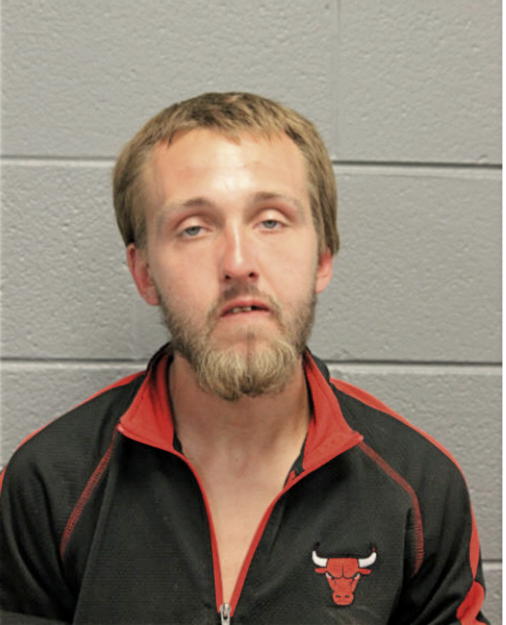 STEVEN A LEESON, Cook County, Illinois