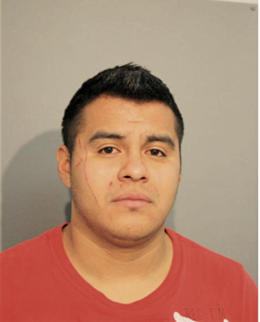 JUAN J MEDINA, Cook County, Illinois