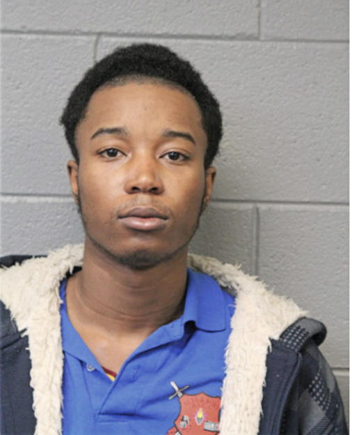 CHAPMAN NELSON, Cook County, Illinois
