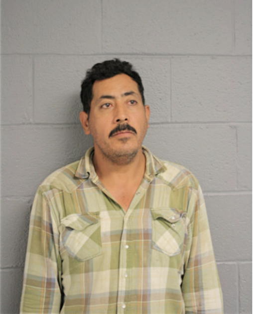 ANTONIO ORTEGA, Cook County, Illinois