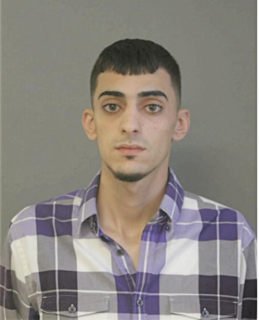 OMAR N OTHMAN, Cook County, Illinois