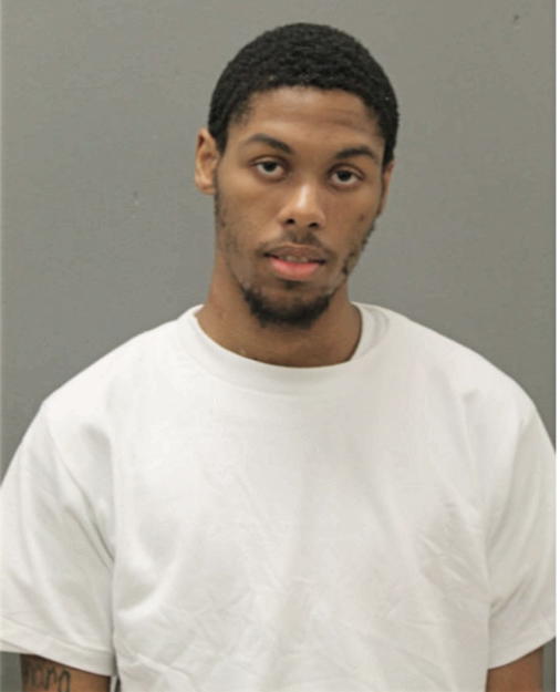 DIRK D PARKER, Cook County, Illinois
