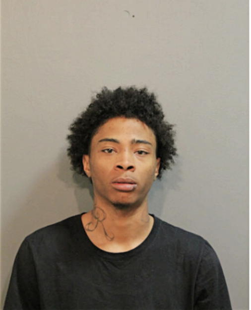 PARIS RIVERA, Cook County, Illinois