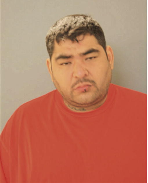 HECTOR ROCHA, Cook County, Illinois