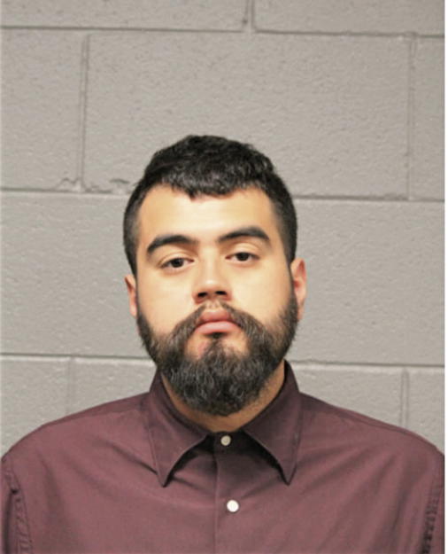 DARIO R RODRIGUEZ, Cook County, Illinois