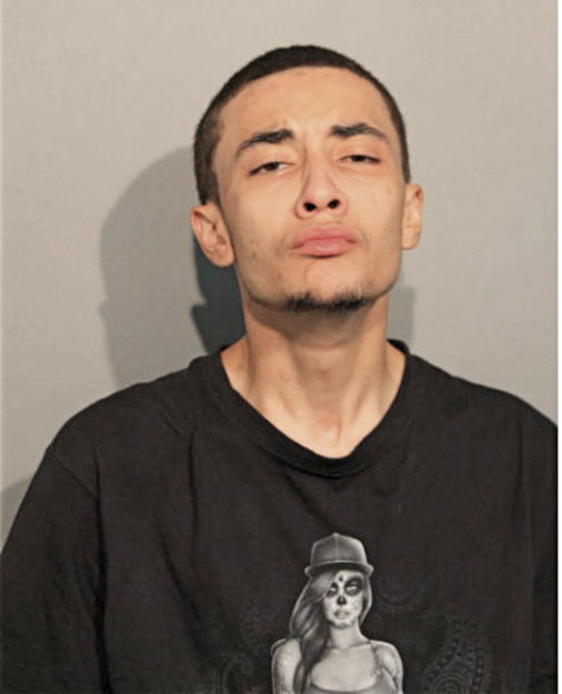 JUSTIN J TURLEY, Cook County, Illinois