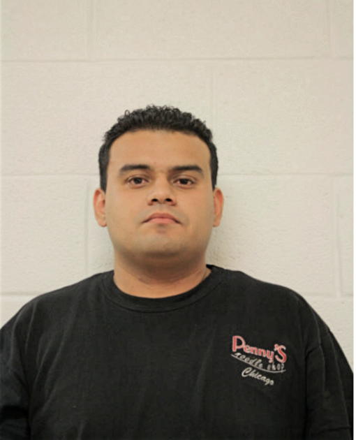 LOUIS A VELAZQUEZ, Cook County, Illinois