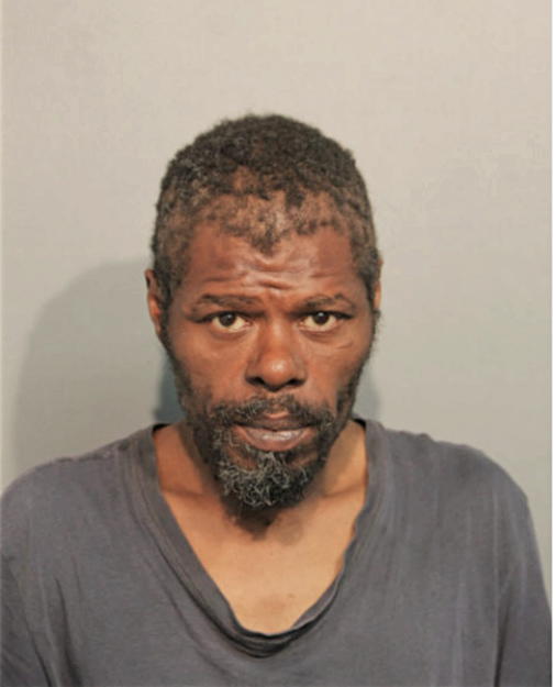 CARL WOODS, Cook County, Illinois