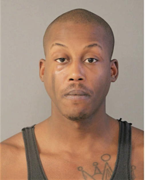 JOSEPH W YOUNG, Cook County, Illinois