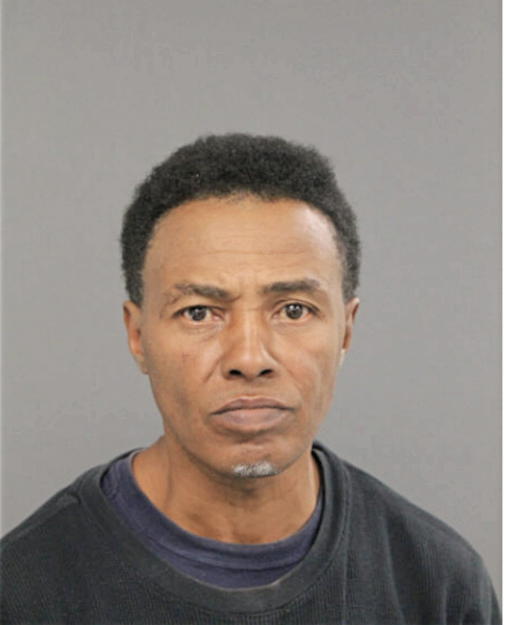 STEVEN T ADAMS, Cook County, Illinois