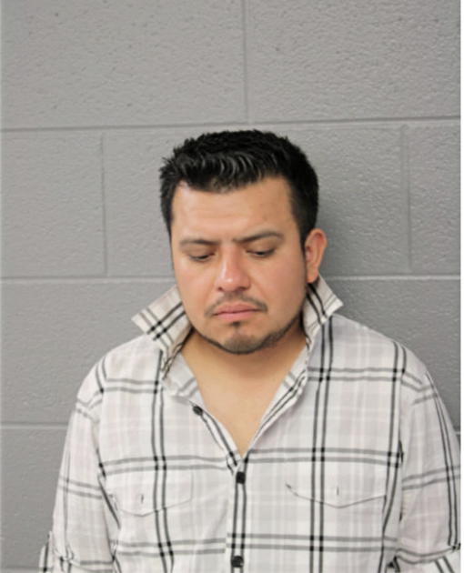 SAUL AVELAR, Cook County, Illinois