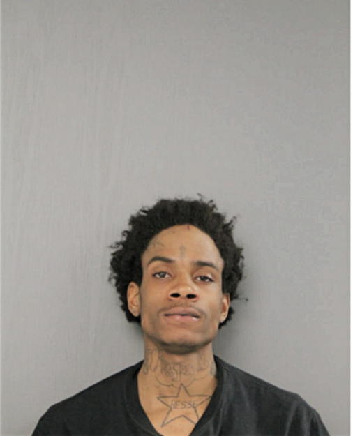 STANSHON JAMES BRYANT, Cook County, Illinois