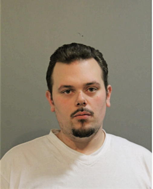 JORDAN A DINGILLO, Cook County, Illinois