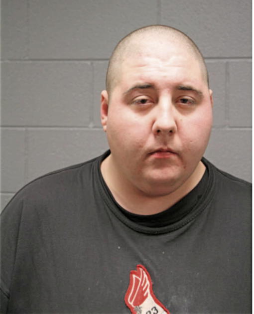 STEVEN A DOYLE, Cook County, Illinois