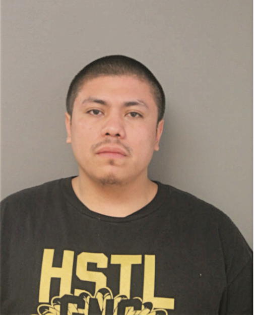 RICKY FERNANDEZ, Cook County, Illinois