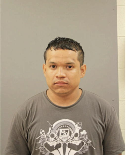 CARLOS ADOLFO GARCIA, Cook County, Illinois