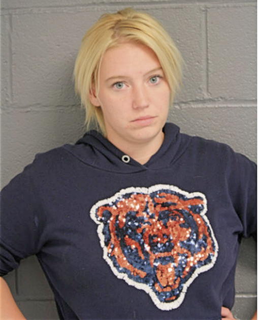 SHANNON T GIBBONS, Cook County, Illinois
