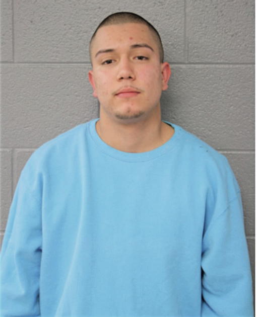 GUSTAVO A GONZALEZ, Cook County, Illinois