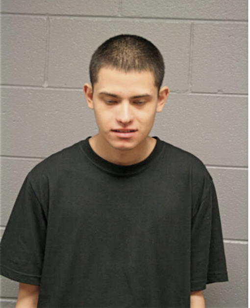 JOSEPH H GUARDIA, Cook County, Illinois