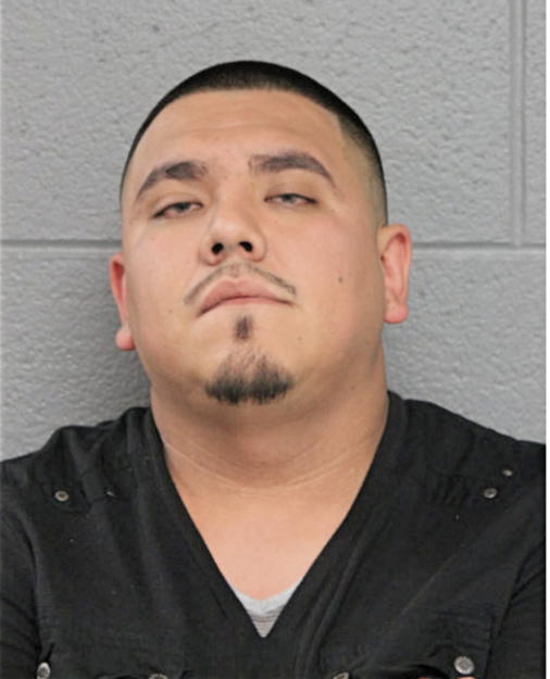 JOBANI GUZMAN, Cook County, Illinois