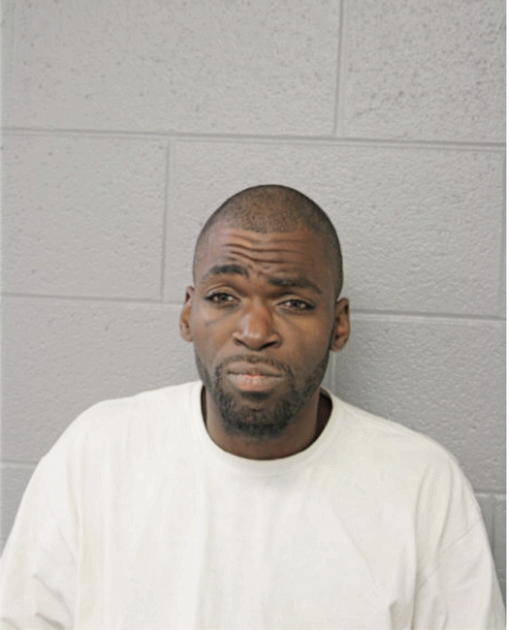 MATTHEW L JONES, Cook County, Illinois