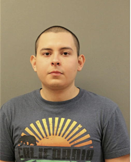 OCTAVIO LARA, Cook County, Illinois