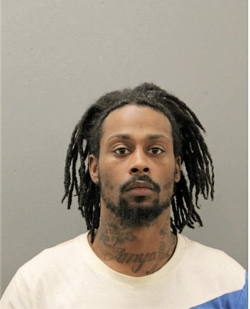 SHAWN A LEE, Cook County, Illinois