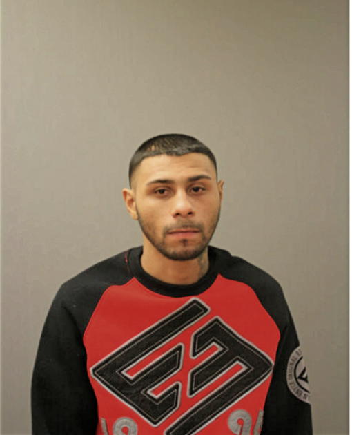 ISMAEL R LOZADA, Cook County, Illinois