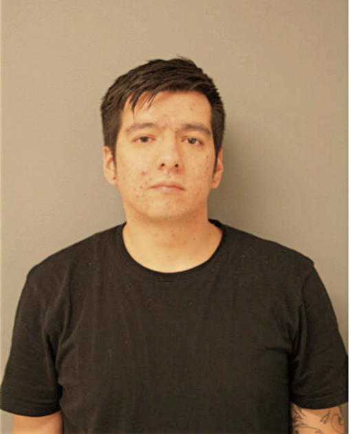 LOUIS A MANDUJANO, Cook County, Illinois