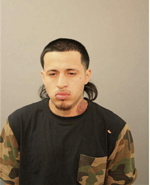 AUGUSTIN MARTINEZ, Cook County, Illinois