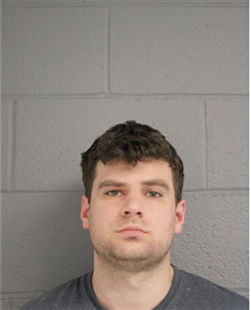 CRAIG A NELSON, Cook County, Illinois