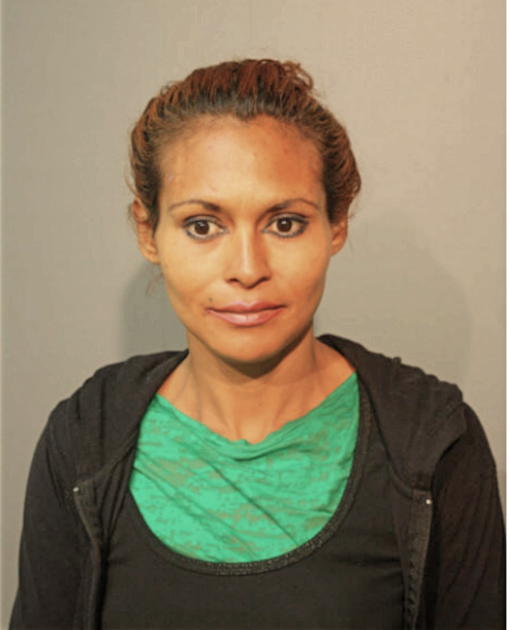 MANIS L NUNEZ, Cook County, Illinois