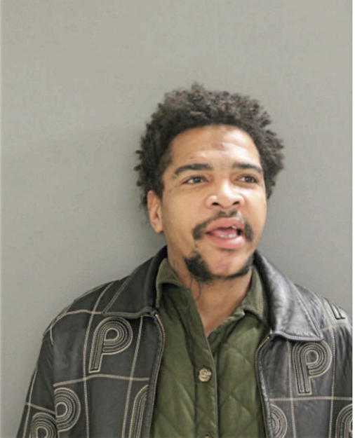 DAMON N PARKER, Cook County, Illinois